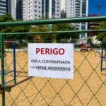 parquinho-e-interditado-apos-casos-infeccao-por-larvas;-areia-sera-substituida-em-goiania