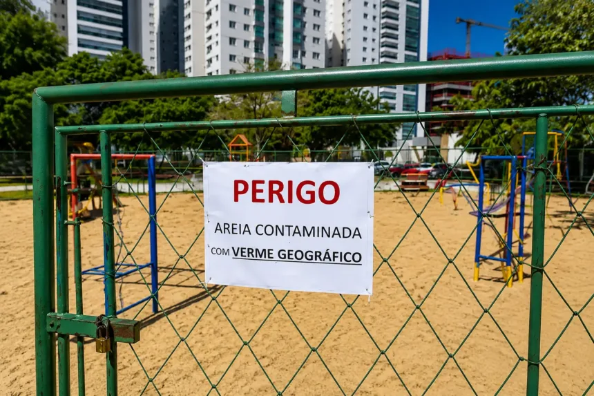 Parquinho é interditado após casos infecção por larvas; areia será substituída em Goiânia 1 parquinho-e-interditado-apos-casos-infeccao-por-larvas;-areia-sera-substituida-em-goiania
