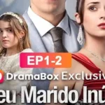 Aplicativo de novelas DramaBox no Brasil