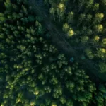 Redução da proteção da floresta na Amazônia