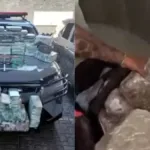 pelo-menos-tres-bunkers-clandestinos-usados-para-esconder-drogas-sao-descobertos-em-goiania