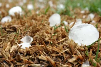 Tempestades no Rio Grande do Sul com granizo e ventos fortes