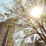 Calor em Goiás com céu claro e tempo seco