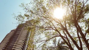 Calor em Goiás com céu claro e tempo seco