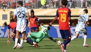 Gol anulado Espanha contra Argentina na Copa