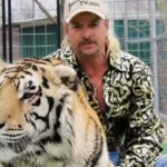 Decisão da Justiça de Goiás sobre Netflix e Máfia dos Tigres