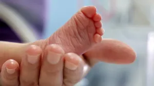 Recém-nascido encontrado em lixeira de hospital em SP