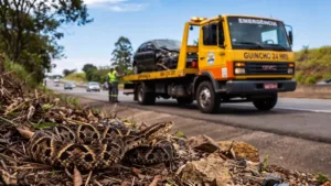 Motorista picado por cobra em acidente de trabalho