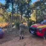 trabalhador-morre-apos-ser-atingido-por-arvore-durante-poda-em-bela-vista-de-goias