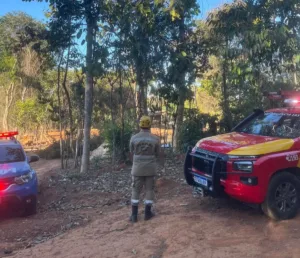 trabalhador-morre-apos-ser-atingido-por-arvore-durante-poda-em-bela-vista-de-goias