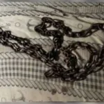 Adolescente autista acorrentado em Anápolis