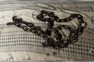 Adolescente autista acorrentado em Anápolis