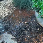 jardim-encharcado-para-afastar-caes?-moradores-denunciam-sindica-por-desperdicio-de-agua