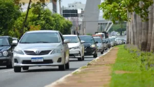 Estatísticas de estelionato eletrônico em Goiás
