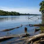 Última foto dos pescadores afogados no rio Scioto