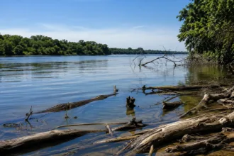 Última foto dos pescadores afogados no rio Scioto