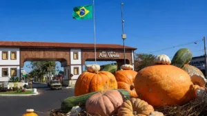 aboboras-gigantes-de-ate-100-kg-sao-colhidas-para-aniversario-de-178-anos-de-rio-verde