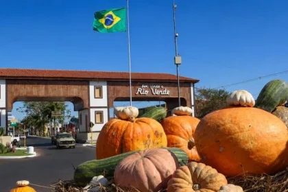 aboboras-gigantes-de-ate-100-kg-sao-colhidas-para-aniversario-de-178-anos-de-rio-verde