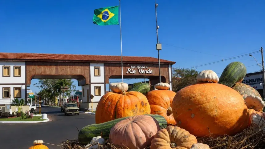 aboboras-gigantes-de-ate-100-kg-sao-colhidas-para-aniversario-de-178-anos-de-rio-verde