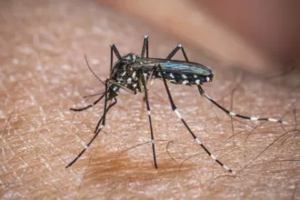 El Niño e aumento de dengue no Brasil