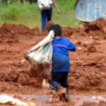 plano vigente