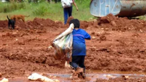 Plano contra trabalho infantil em três estados do Brasil
