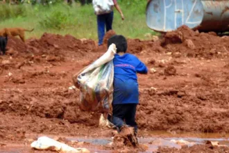 Plano contra trabalho infantil em três estados do Brasil