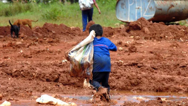 Somente três estados têm plano vigente contra o trabalho infantil 1 Plano contra trabalho infantil em três estados do Brasil