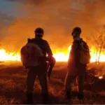 bombeiros-registraram-um-incendio-por-hora-em-goias-entre-janeiro-e-julho-de-2026