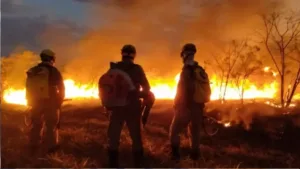 Incêndios em Goiás em 2026