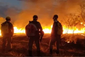 Incêndios em Goiás em 2026