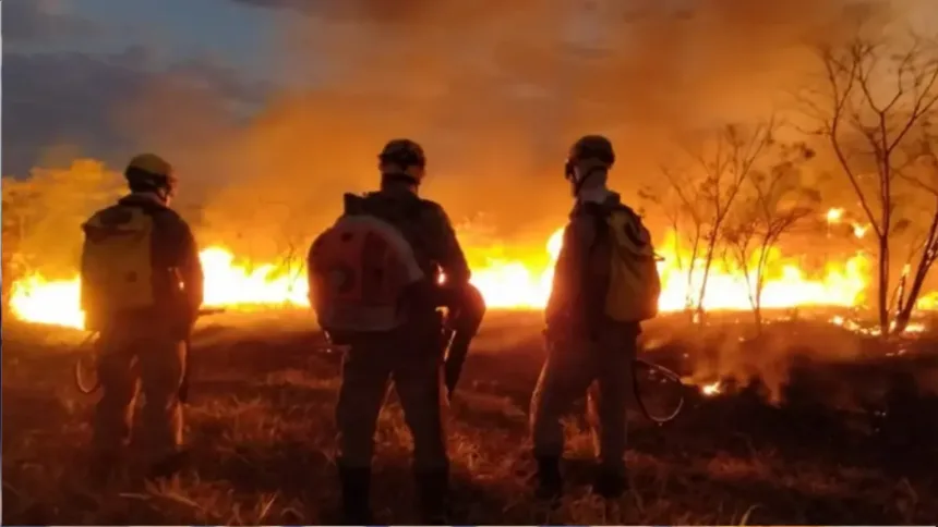 Incêndios em Goiás em 2026