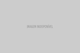 Capivara ferida com flecha na zona sul de São Paulo