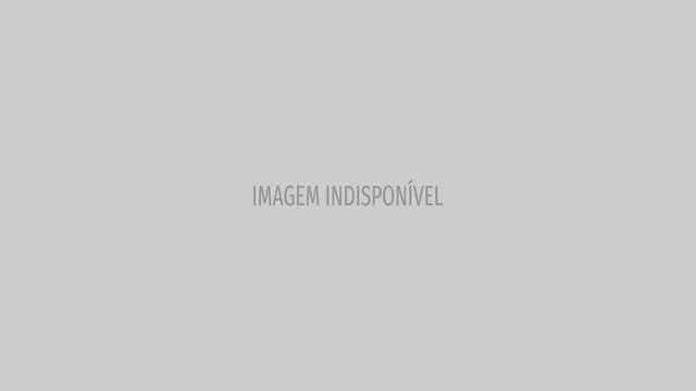 Capivara ferida com flecha na zona sul de São Paulo