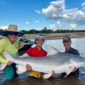 Piraíba no Araguaia, um dos maiores peixes de água doce