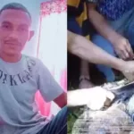 Corpo encontrado em píton gigante na Indonésia
