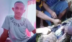 Corpo encontrado em píton gigante na Indonésia