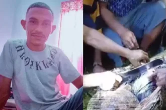 Corpo encontrado em píton gigante na Indonésia