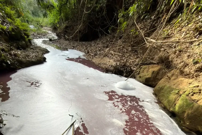 Mancha rosa no córrego em Professor Jamil com peixes mortos