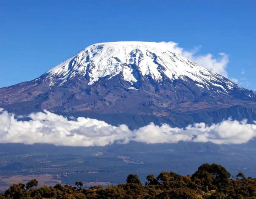 aos-90-anos,-idoso-quebra-recorde-ao-escalar-o-monte-kilimanjaro