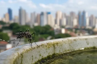 Sorotipo agressivo de dengue em Goiás