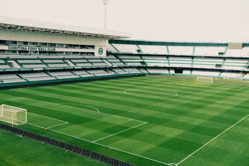 Coritiba x Cruzeiro: onde assistir ao vivo, horário e escalações no Brasileirão 1 Serpente capturada por bombeiros em máquina de lavar