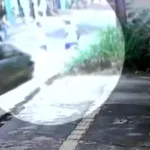 Homem atropelado em Aparecida após festa junina