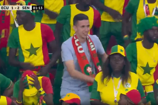 Memes Bélgica Senegal após pênalti decisivo