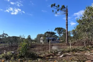 Tornado no Paraná com ventos de 200 km/h