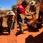 Batismo de terra na Romaria de Trindade