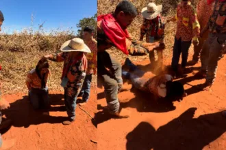 Batismo de terra na Romaria de Trindade