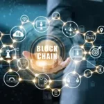 Rastreabilidade digital em Goiás com tecnologia blockchain