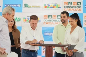 Início da construção da ponte sobre o Lago dos Tigres