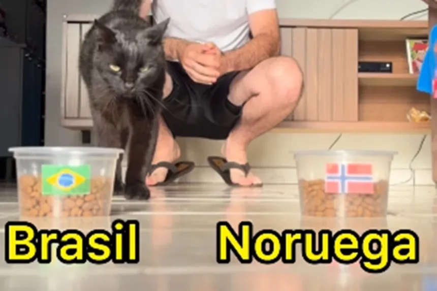 Animais videntes do ZooFoz preveem vitória do Brasil